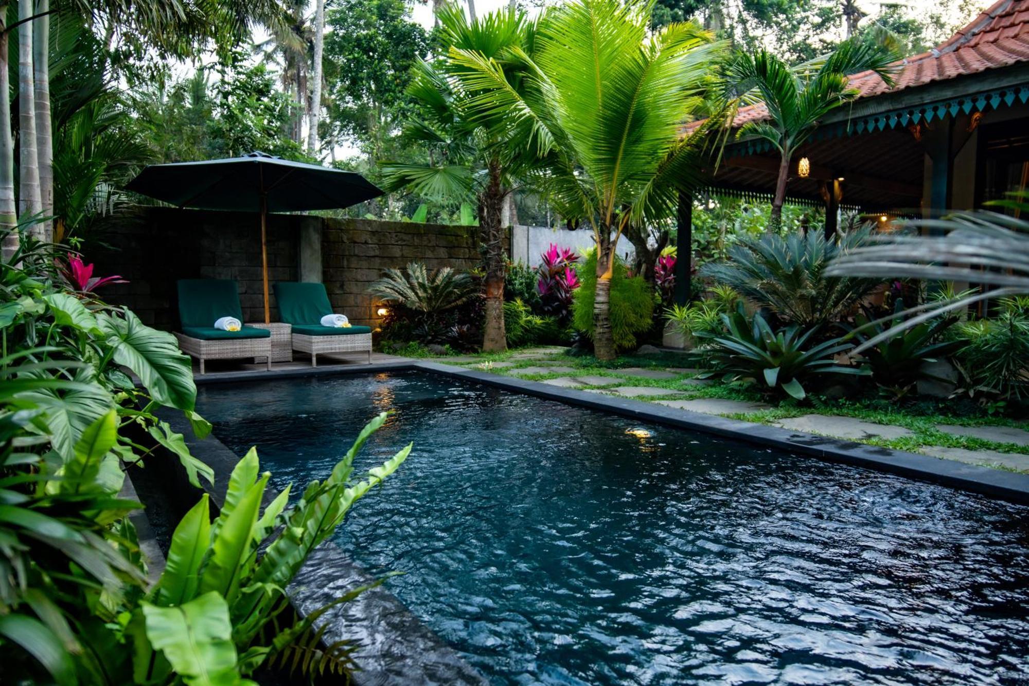 Hotel Imagine Bali Ubud Camera foto